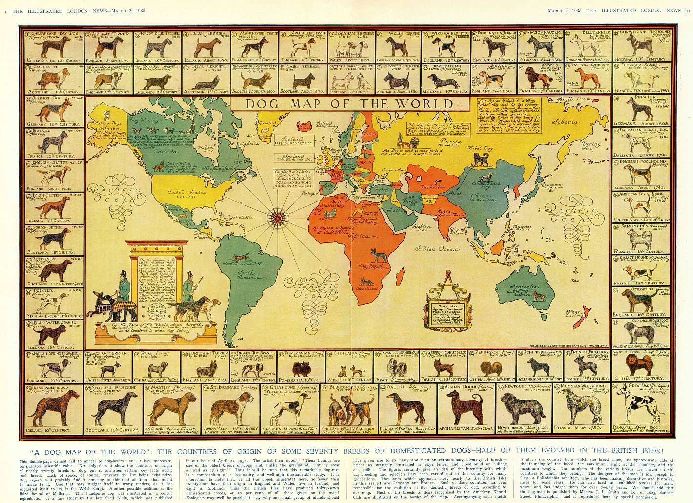 dog map of the world